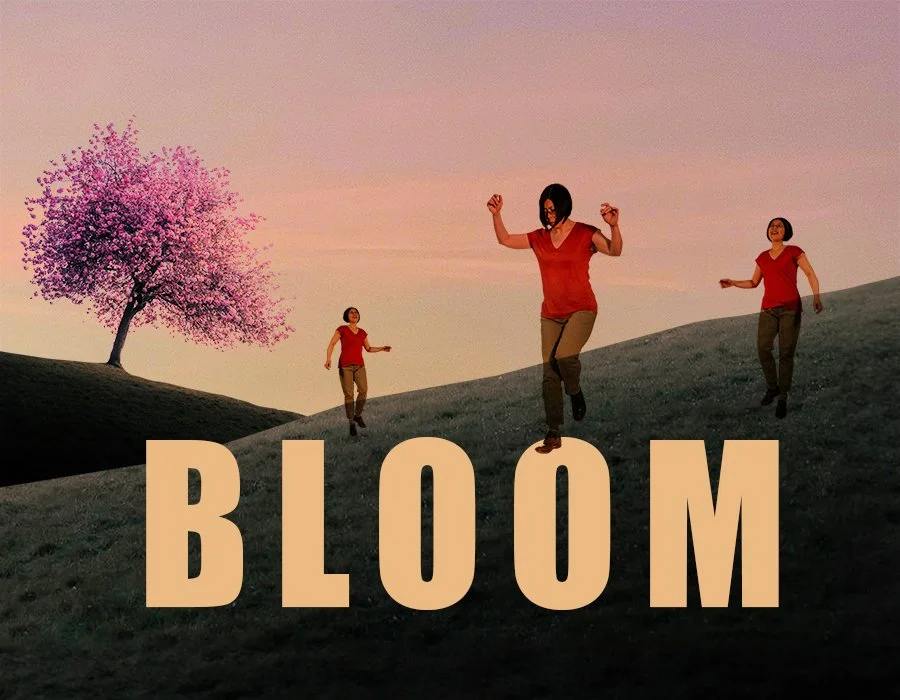 BLOOM - TOUR 25 -26 — Kae Sakurai Arts and Accounts